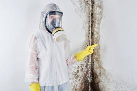 Best Forensic Mold Investigation in Newtown Grant, PA